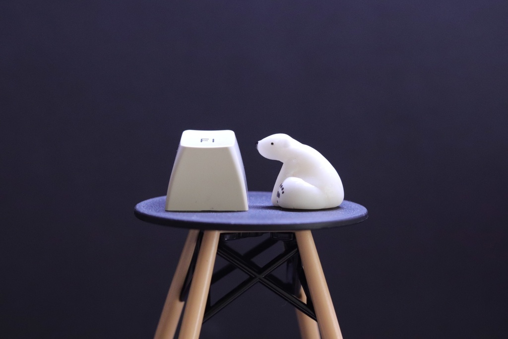 シロクマキーキャップ / Polar bear