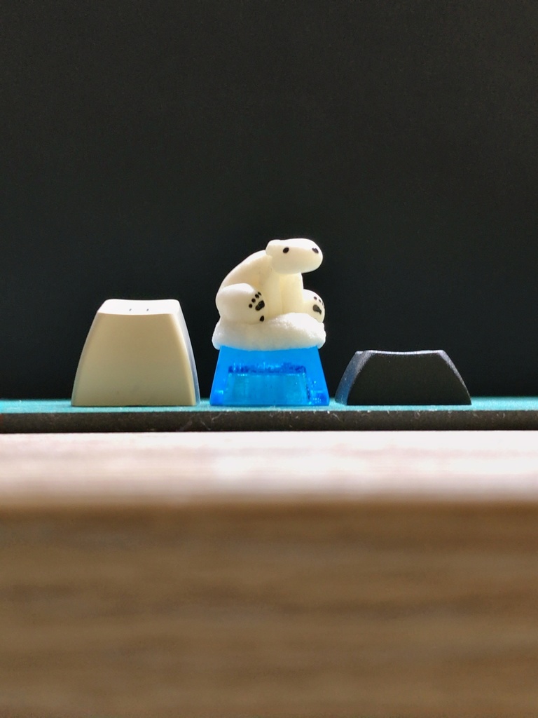 シロクマキーキャップ / Polar bear