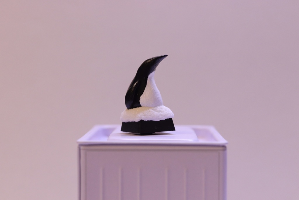 ペンギンキーキャップ / Penguin