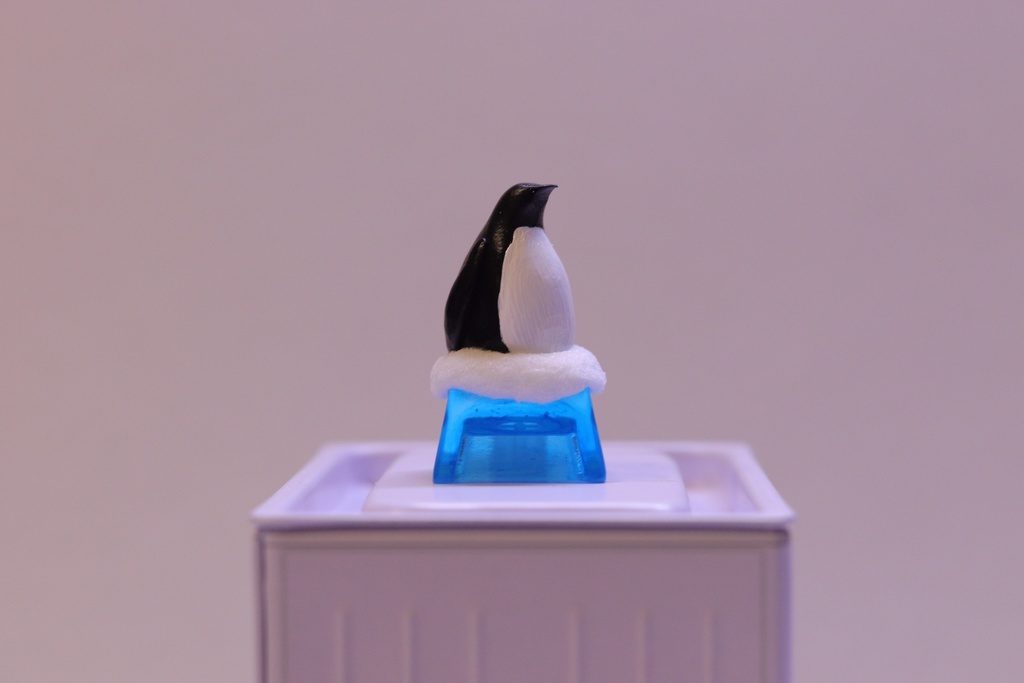 ペンギンキーキャップ / Penguin