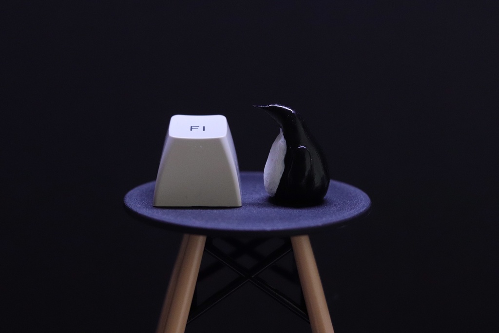 ペンギンキーキャップ / Penguin