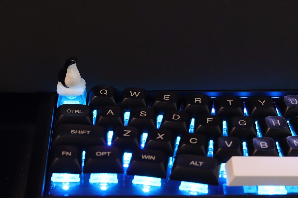 ペンギンキーキャップ / Penguin