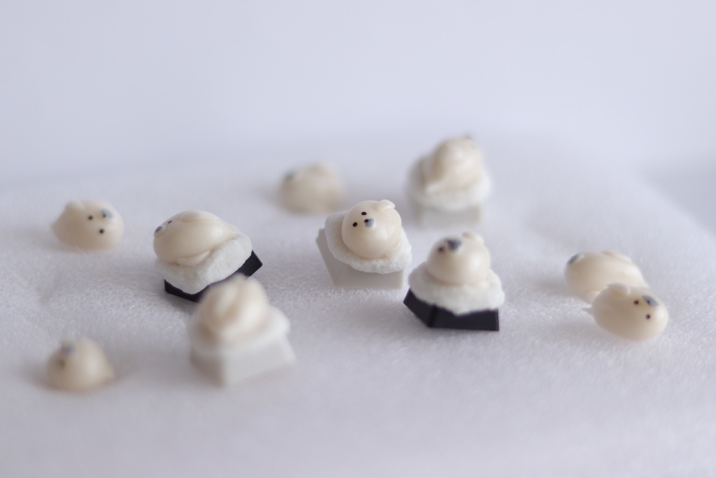 アザラシキーキャップ / Slacking seal