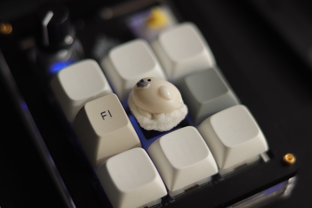 アザラシキーキャップ / Slacking seal