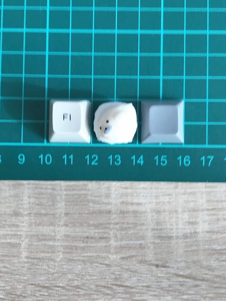 アザラシキーキャップ / Slacking seal