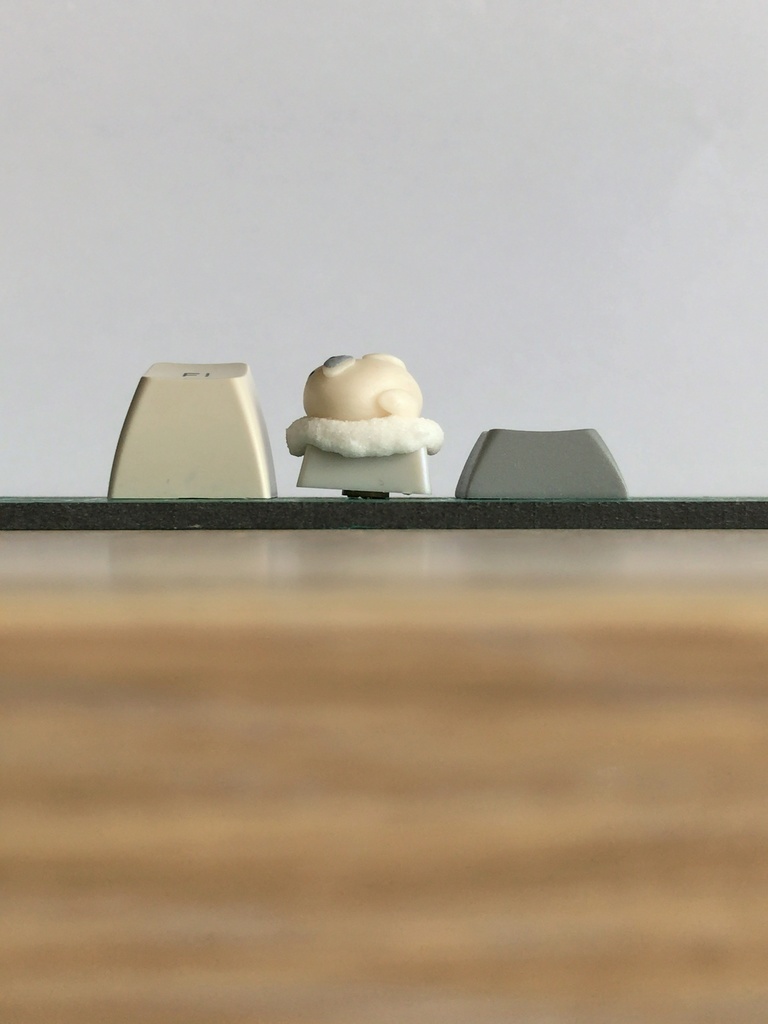 アザラシキーキャップ / Slacking seal