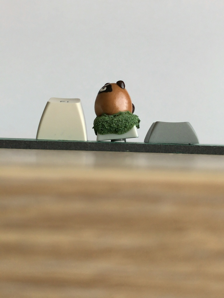 たぬキーキャップ / Tanuki