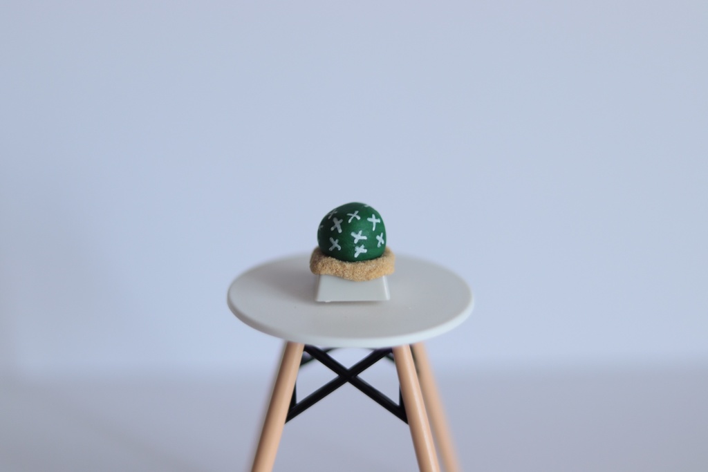 サボテンキーキャップ / Cactus