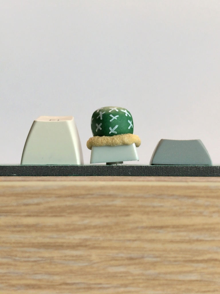 サボテンキーキャップ / Cactus