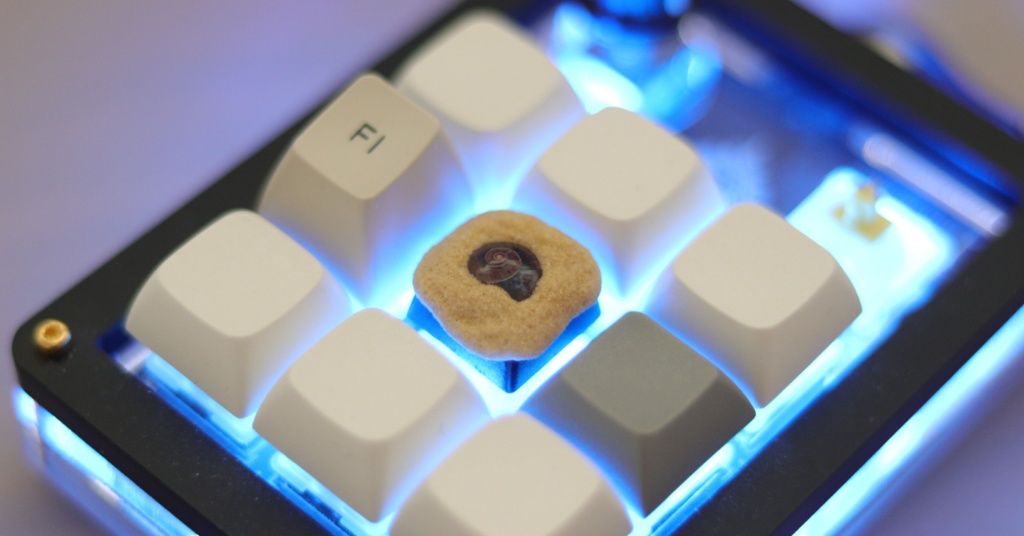 うずまき貝キーキャップ / Spiral shell