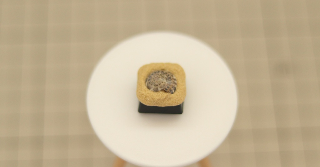 うずまき貝キーキャップ / Spiral shell