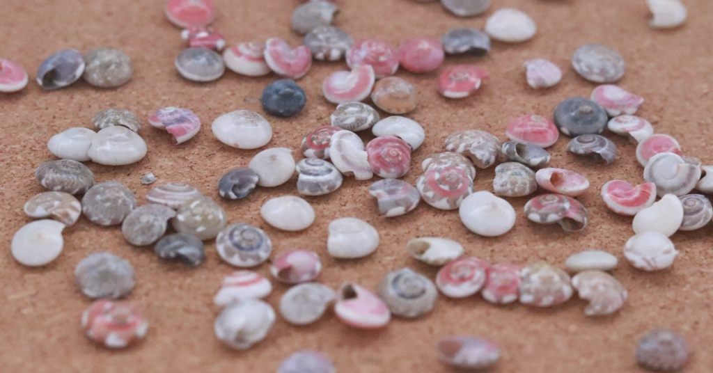 うずまき貝キーキャップ / Spiral shell