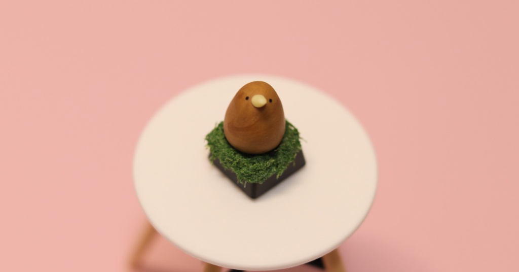 キーウィキーキャップ / Kiwi