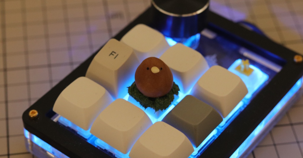 キーウィキーキャップ / Kiwi