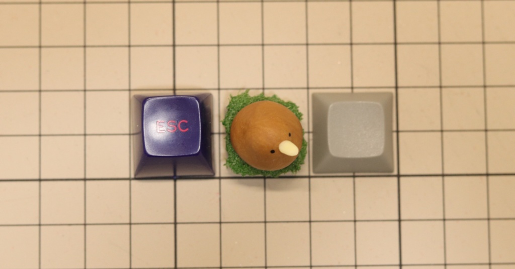 キーウィキーキャップ / Kiwi