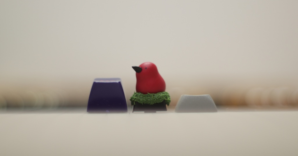 ショウジョウトキーキャップ / Scarlet Ibis