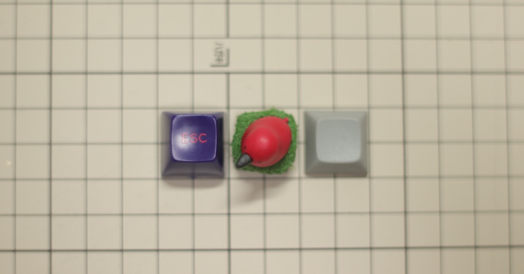 ショウジョウトキーキャップ / Scarlet Ibis