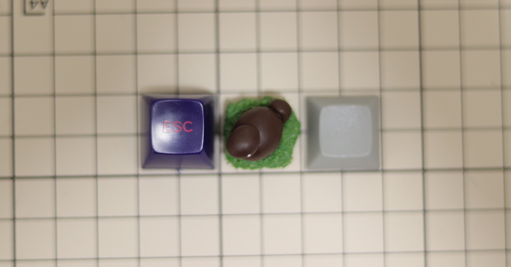 ビーバーキーキャップ / beaver