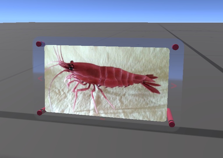 VRChat ワールドギミック EbiPhotoFrame