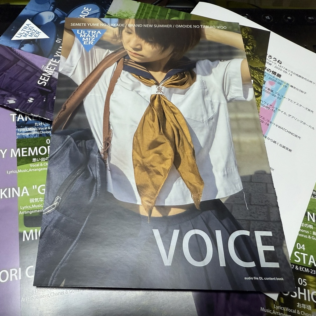 VOICE ※B6冊子版