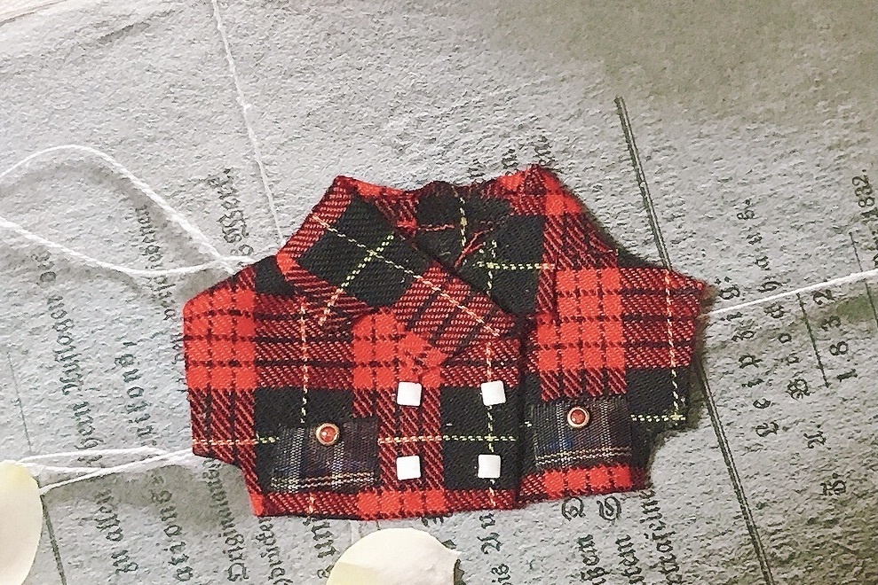 秋チェック祭り