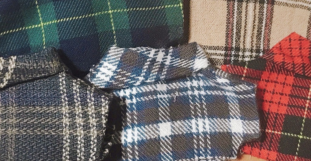 秋チェック祭り