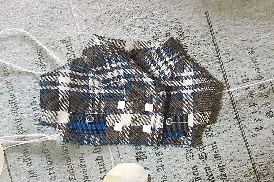 秋チェック祭り