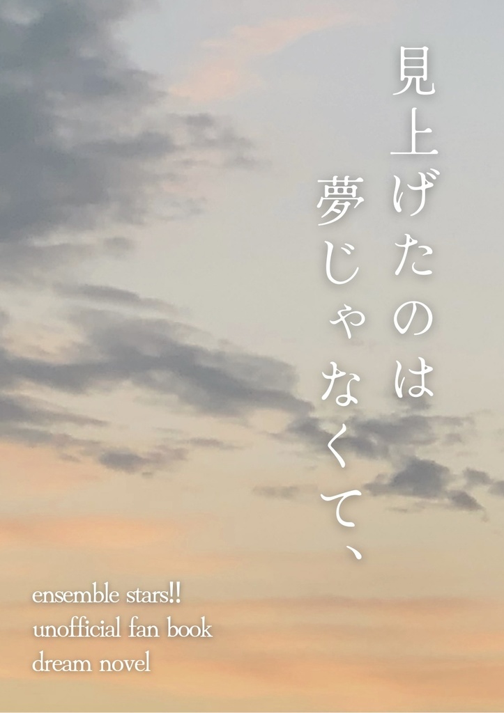 見上げたのは夢じゃなくて、