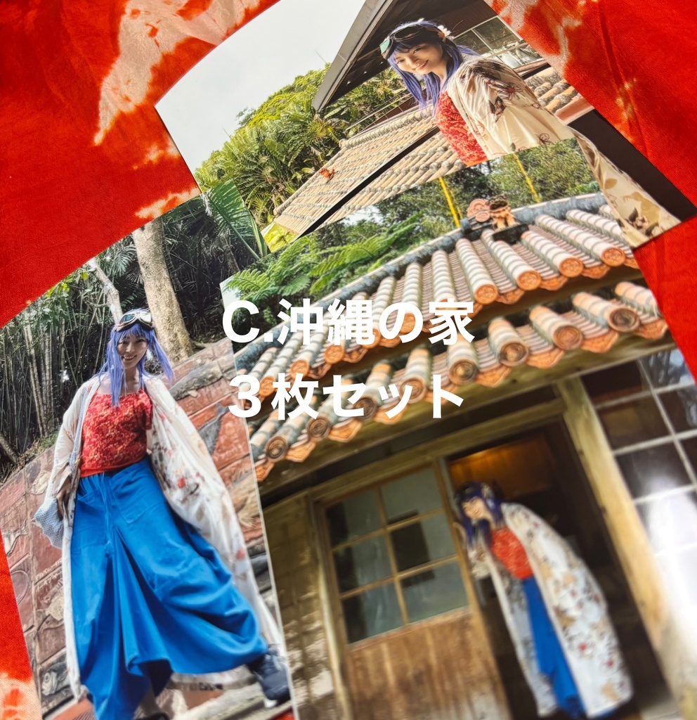 【Cセット】沖縄の家、趣がある!L版写真セット