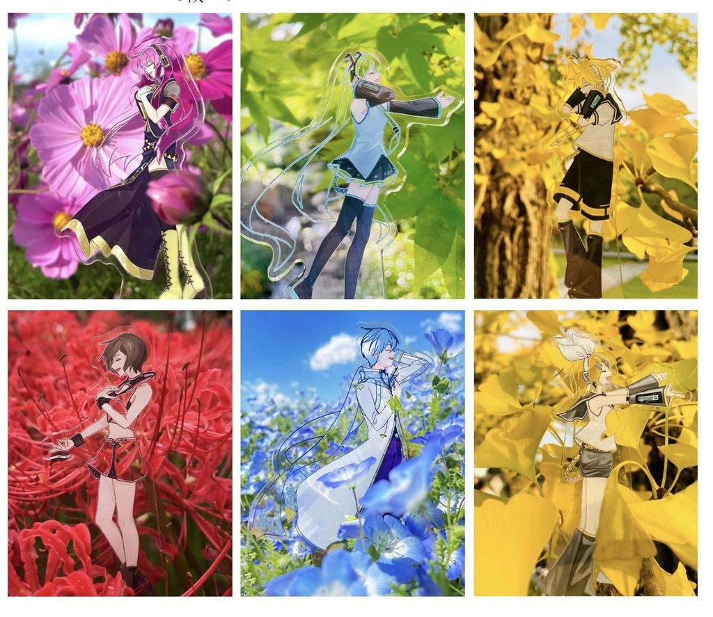 【ポストカード】透けるアクスタ写真、ポストカード6枚セット