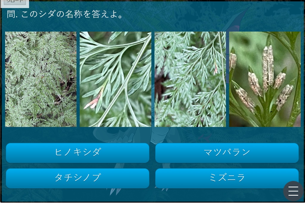 シダダン3(ぷらんちゅ5) windows32bit版