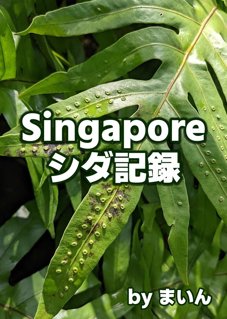 Singaporeシダ記録