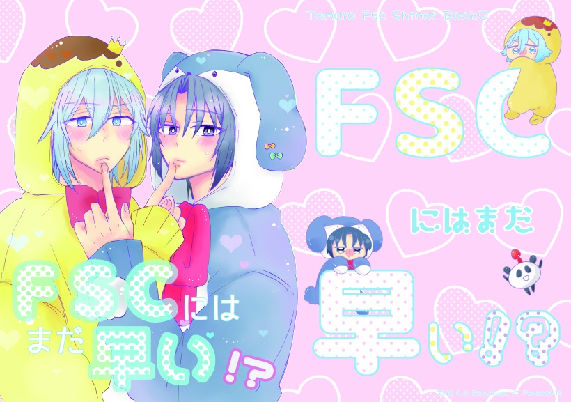 FSCにはまだ早い!?