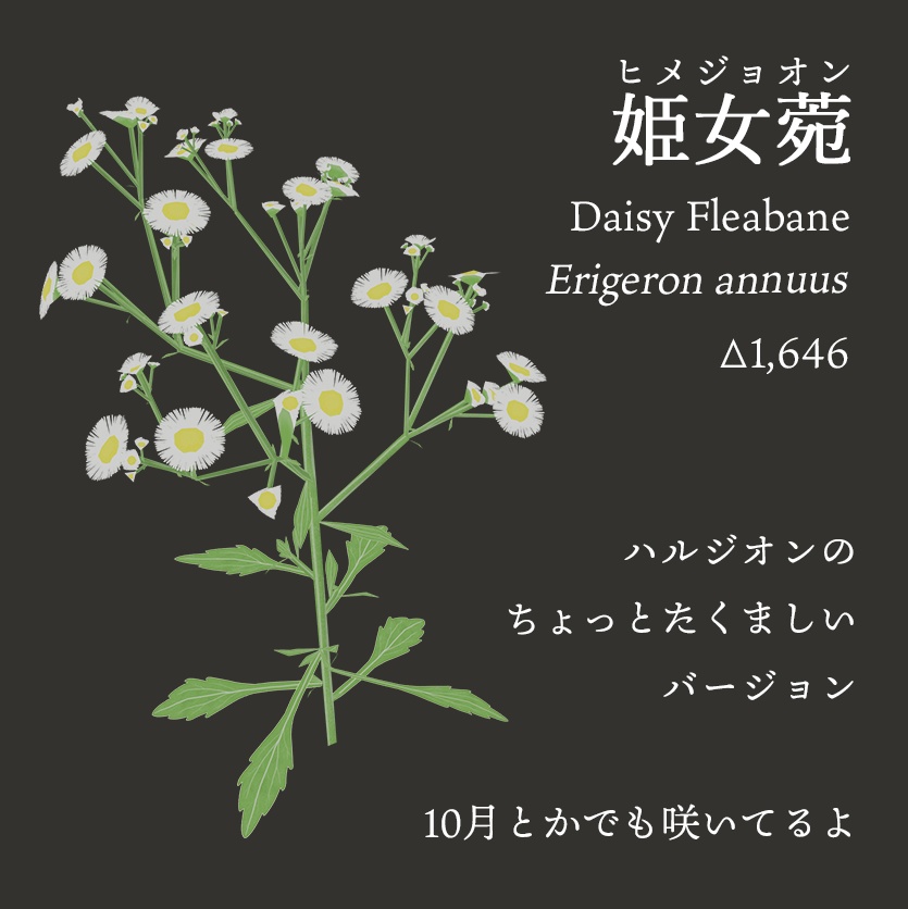 【3Dモデル】夏の雑草つめあわせ