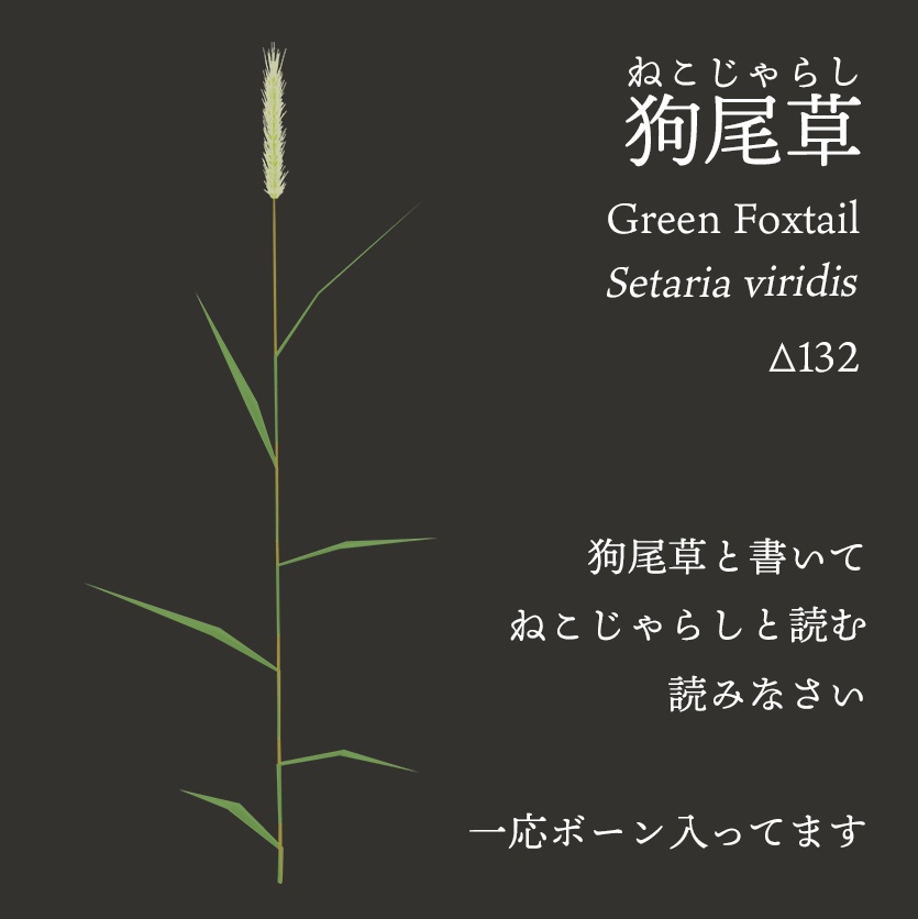 【3Dモデル】夏の雑草つめあわせ