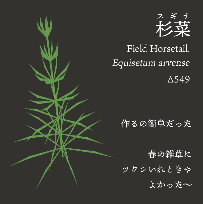 【3Dモデル】夏の雑草つめあわせ