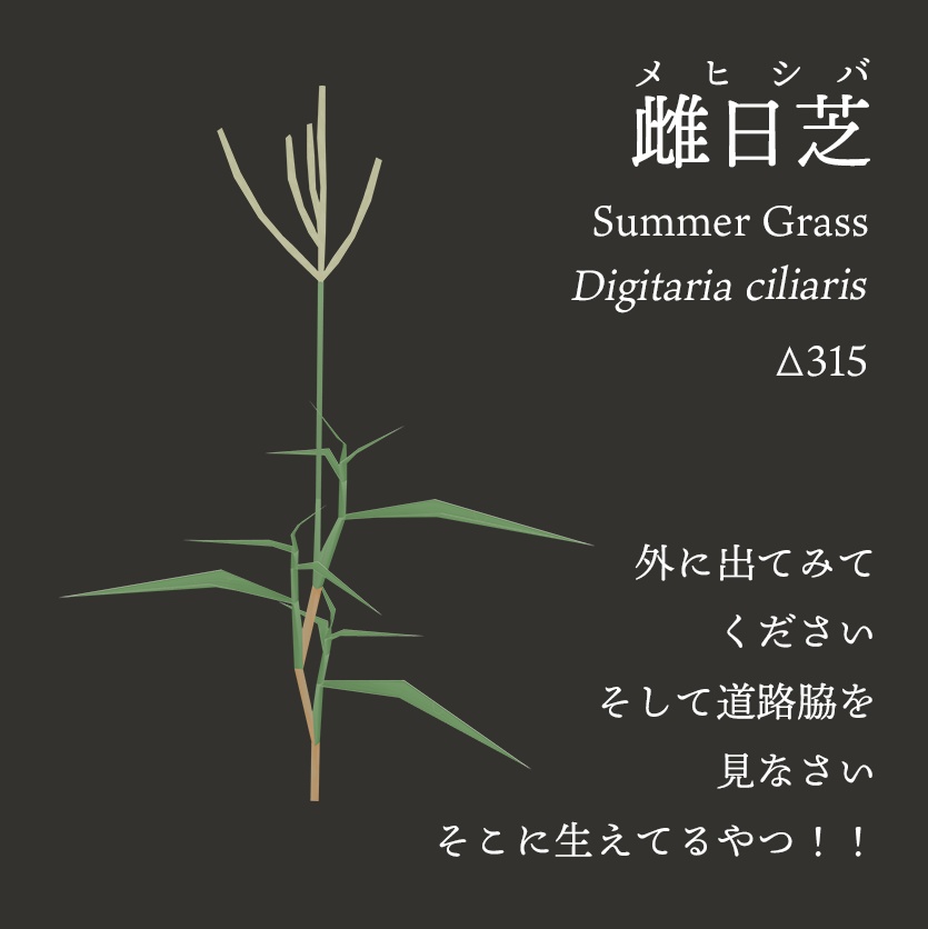 【3Dモデル】夏の雑草つめあわせ