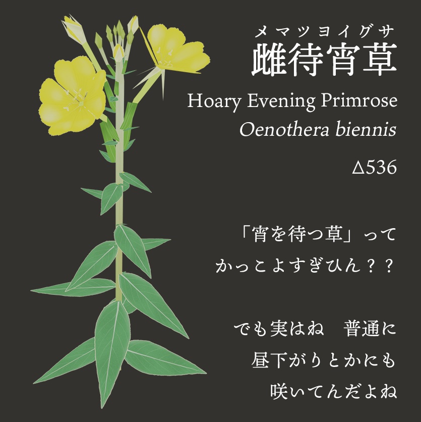 【3Dモデル】夏の雑草つめあわせ