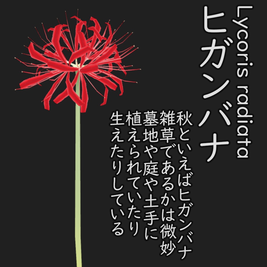 【3Dモデル】秋の雑草つめあわせ Sahkert's FallWildFlowers