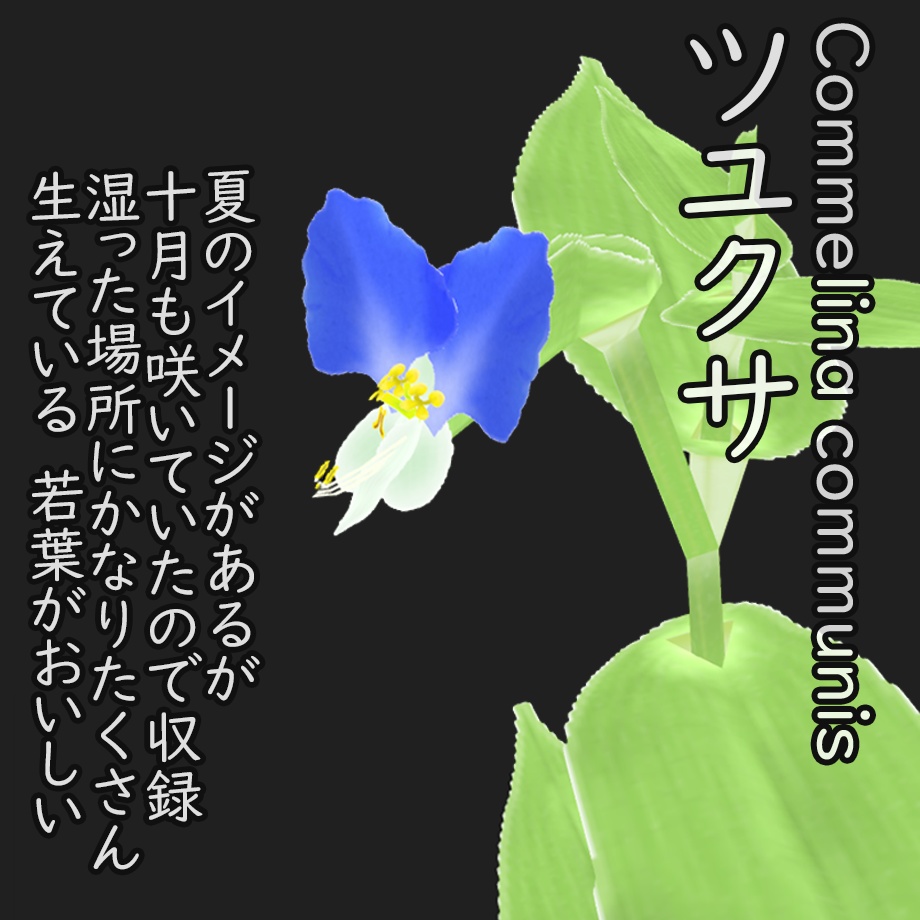 【3Dモデル】秋の雑草つめあわせ Sahkert's FallWildFlowers