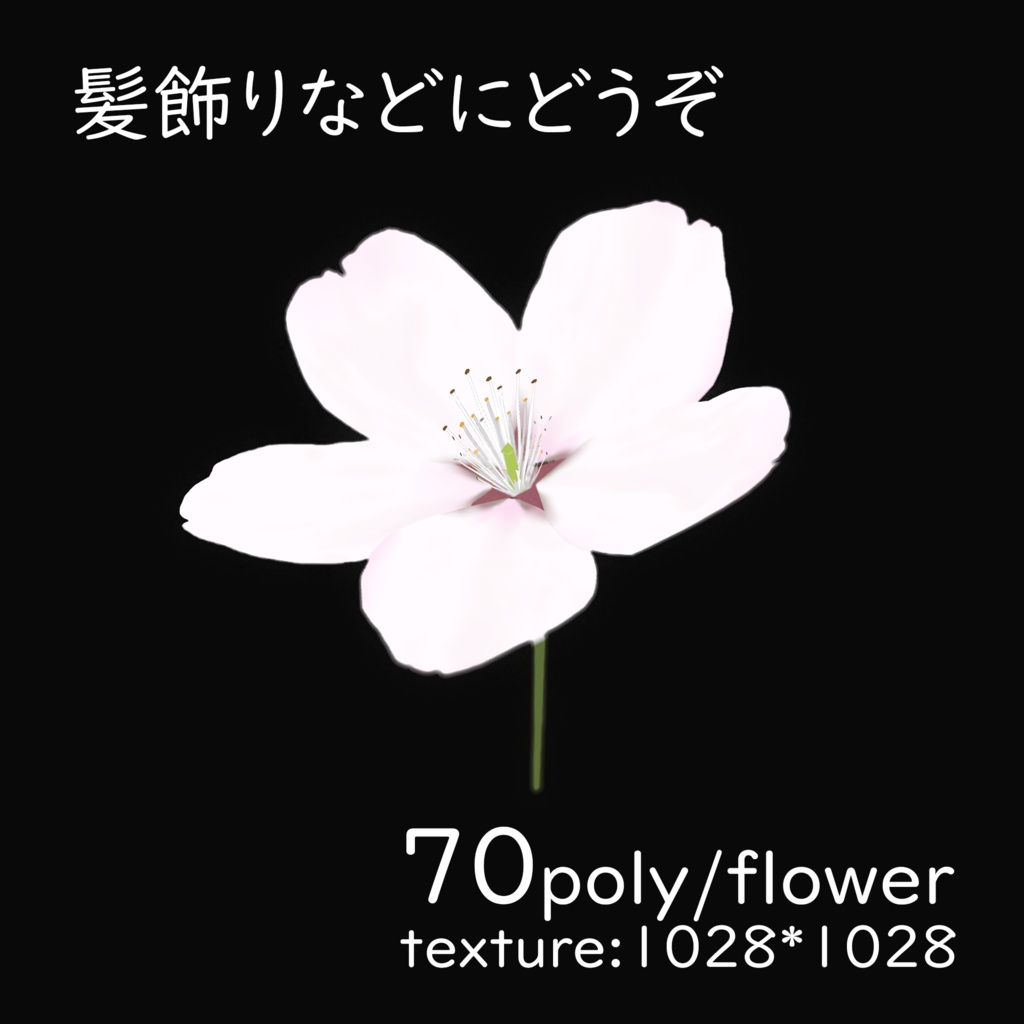 【3Dモデル】桜の花/Cherry Blossom