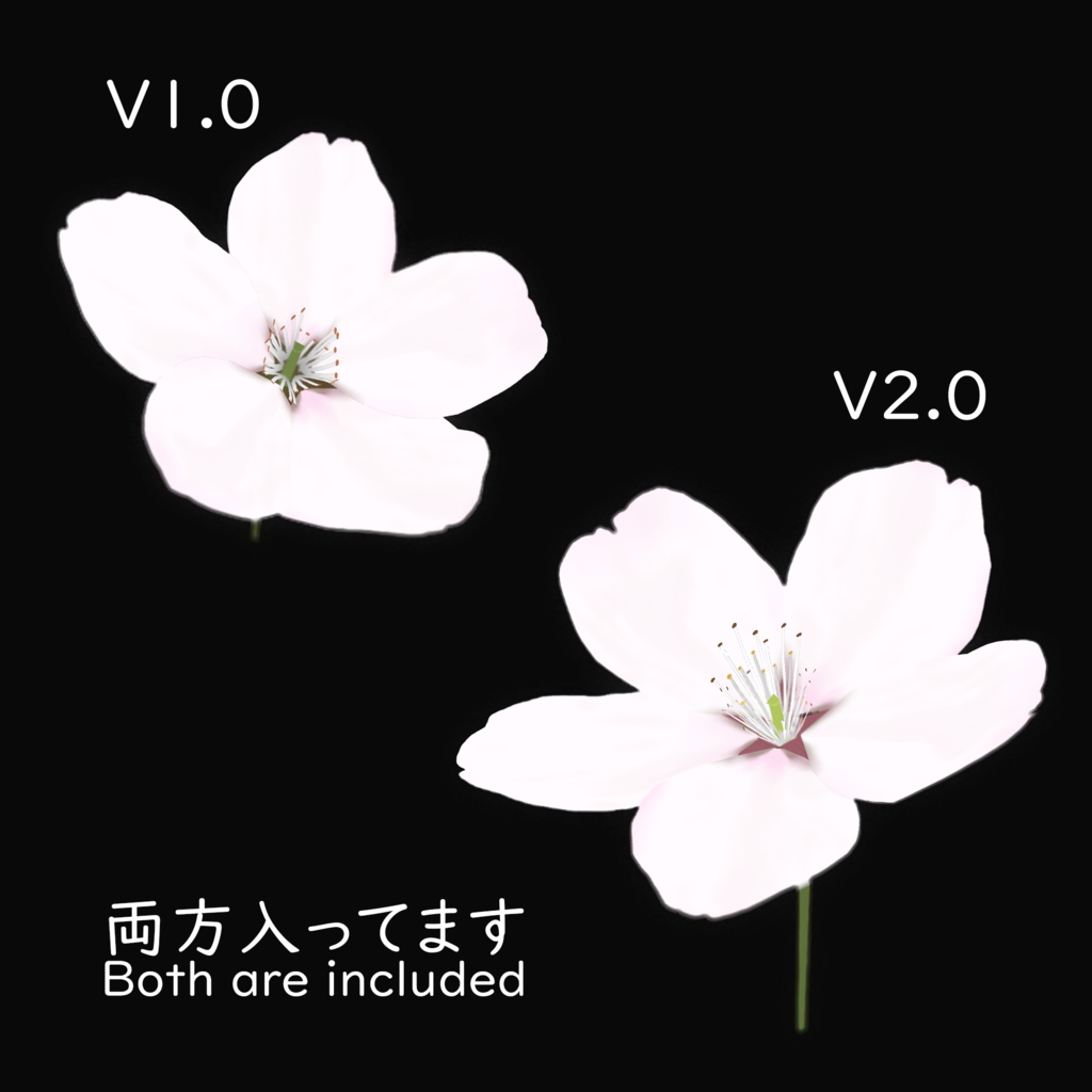 【3Dモデル】桜の花/Cherry Blossom