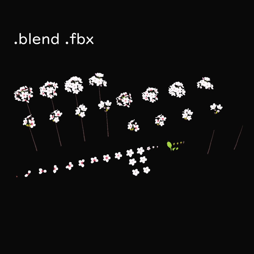 【3Dモデル】桜の花/Cherry Blossom