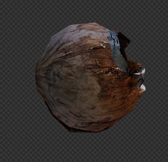 VRChat・HDRP対応 △209 ヤシの実 3Dモデル フォトグラメトリ fbx