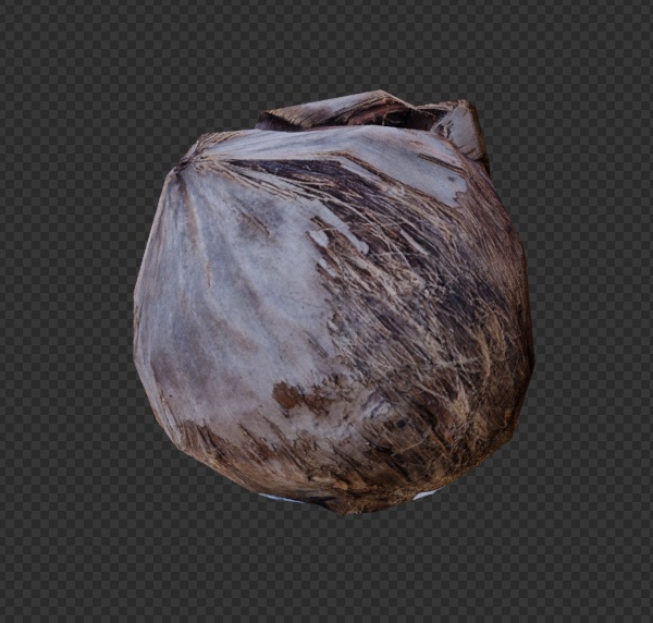 VRChat・HDRP対応 △209 ヤシの実 3Dモデル フォトグラメトリ fbx
