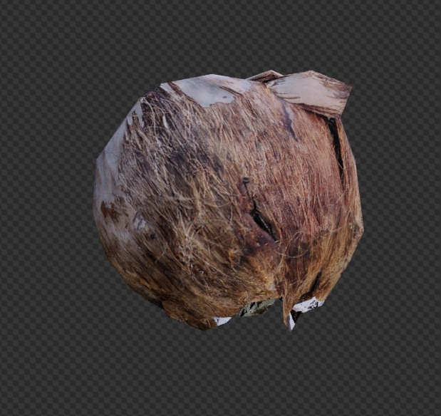 VRChat・HDRP対応 △209 ヤシの実 3Dモデル フォトグラメトリ fbx