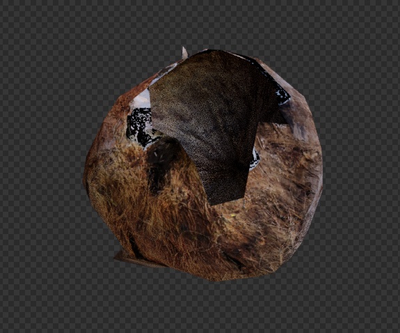 VRChat・HDRP対応 △209 ヤシの実 3Dモデル フォトグラメトリ fbx