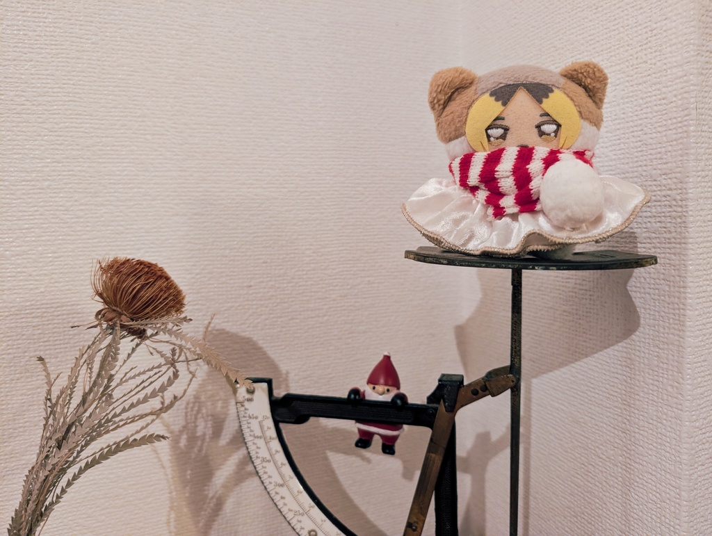 ベロアのお洋服