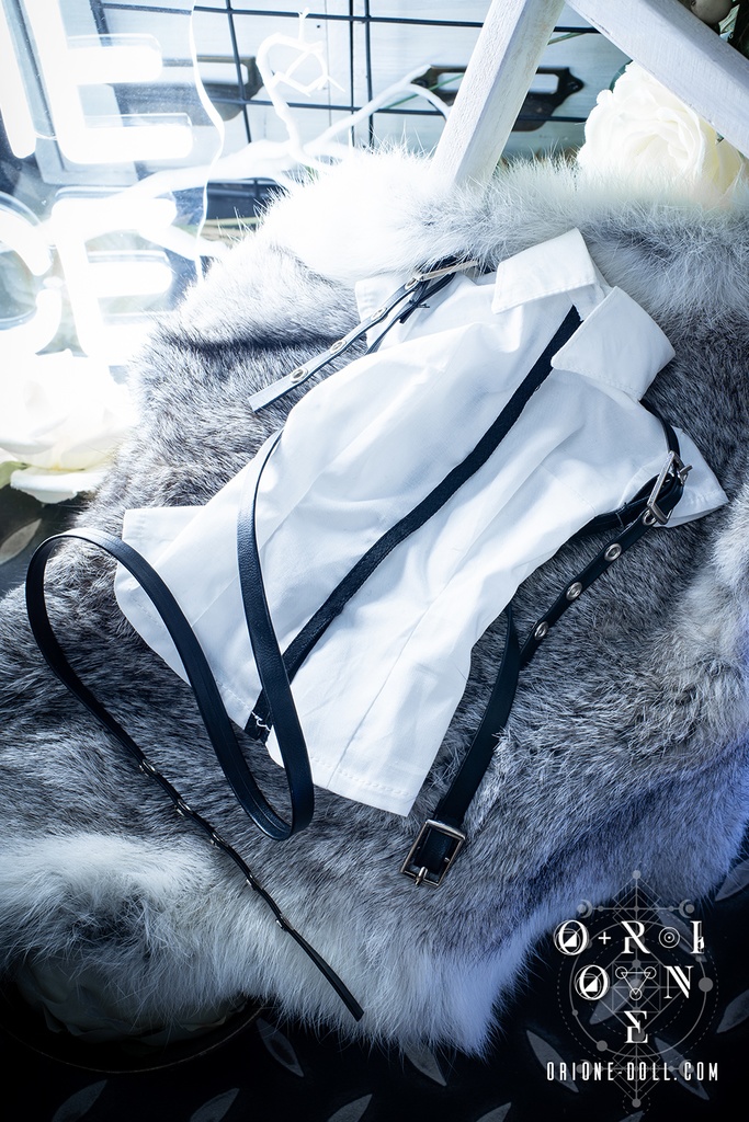 ［Orione][Project Underworld] トップ