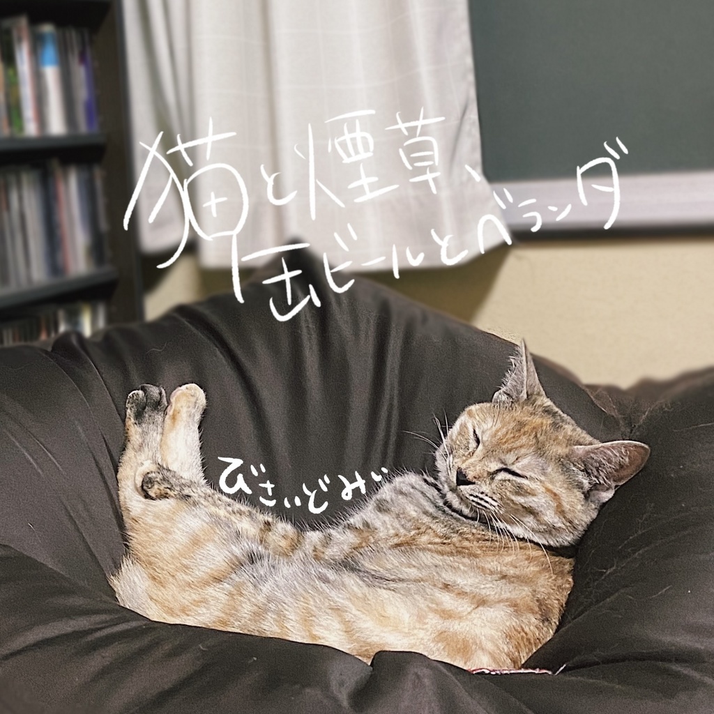 【里緒】猫と煙草、缶ビールとベランダ